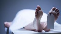 Kemenkes dan Polri Selidiki Kematian Dokter Icha di RS Leona, Dugaan Intimidasi Mencuat