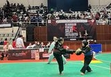 Puncak Kejuaraan Pencak Silat Piala Presiden 2026: Perebutan Gelar Juara di TMII Hari Ini