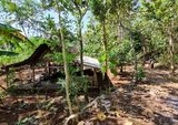 Padukuhan Sari: Kisah Kampung Hilang di Gunungkidul, Kini Bak Kota Mati Akibat Eksodus Warga