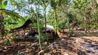 Padukuhan Sari: Kisah Kampung Hilang di Gunungkidul, Kini Bak Kota Mati Akibat Eksodus Warga