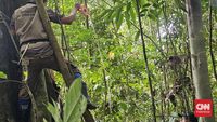 Desa Lubuk Beringin Jambi Sukses Cuan dari Perdagangan Karbon Hutan, Ekonomi Warga Meningkat