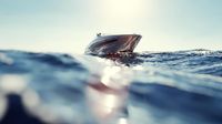 KN SAR Bhisma Pimpin Operasi Pencarian Speedboat Hilang Kontak di Teluk Tomini Gorontalo
