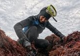 Tradisi Pemanenan Rumput Laut Taiwan di Ambang Kepunahan, Generasi Muda Enggan Melanjutkan