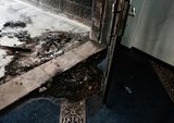 Eskalasi Kekerasan Pemukim Israel Hantam Tepi Barat, Masjid Dibakar dan Rumah Warga Dirusak