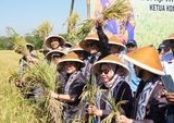 Perkuat Fondasi Pangan Nasional, BULOG dan DPR Tegaskan Komitmen Kesejahteraan Petani