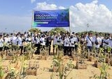 Strategi PNM: Merangkai Lingkungan Pesisir Sehat dan Ekonomi Berdaya