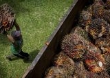 Klaim Fantastis Mentan Amran: Hilirisasi Komoditas Unggulan Mampu Hasilkan Rp35.000 Triliun, Setara 10 Tahun APBN