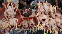 Harga Daging Ayam Tembus Rp38 Ribu, Pangan Lain Ikut Naik di Pasar Tradisional Jakarta