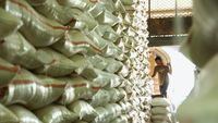 Pemerintah Pastikan Pangan Aman Bagi Korban Gempa NTT: Stok Beras Melimpah, Distribusi Dipercepat