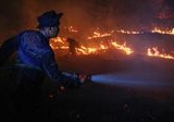 BNPB Peringatkan: Hotspot Karhutla di Kalimantan Tengah Melonjak Drastis, Ribuan Hektare Lahan Hangus