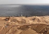 Dilema Energi Hijau: Ekspansi Panel Surya di China Ancam Keanekaragaman Burung