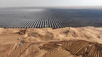 Dilema Energi Hijau: Ekspansi Panel Surya di China Ancam Keanekaragaman Burung