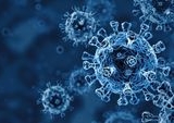Terobosan AI: Ilmuwan Ciptakan Virus Bakteriofag Pertama Lawan E. Coli Kebal Obat