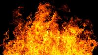 Gedung Bapenda DKI Jakarta Terbakar Hebat: Menguji Ketahanan Layanan Publik Ibu Kota
