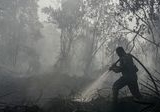 Ancaman Lingkungan: 132 Karhutla Landa Jawa Barat Sepanjang Agustus 2026, Sumedang dan Sukabumi Terparah