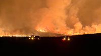 Darurat Ekologis: Kebakaran Gunung Bromo Kritis, 550 Hektare Lahan Terbakar dan Ancam Permukiman