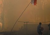 Karhutla Kaltim Memanas: 1.260 Hektare Lahan Perusahaan Ludes, Pemprov Siaga Darurat