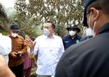 Wamen LH Dorong Swasta Berperan Aktif Atasi Karhutla Gambut Kalbar