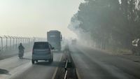 Dampak Kabut Asap di Banjarbaru: Jarak Pandang Terbatas, Kualitas Udara Berbahaya Ancam Kesehatan Warga
