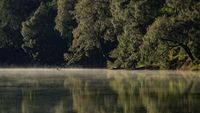 Ratusan Pendaki Dievakuasi dari Ranu Kumbolo Akibat Kebakaran Hutan Gunung Semeru