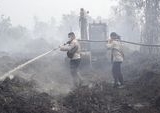 Kalimantan Selatan Membara: BMKG Deteksi 473 Titik Panas, Peringatan Karhutla Meningkat