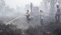 Kalimantan Selatan Membara: BMKG Deteksi 473 Titik Panas, Peringatan Karhutla Meningkat