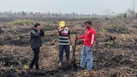 Skandal Lahan Terbakar Riau: Hutan Produksi Disulap Jadi Kebun Sawit Ilegal