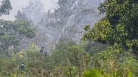 Pemerintah Serius Selidiki Empat Perusahaan Terduga Pembakar Hutan di Kalimantan Barat