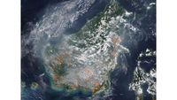 Kalimantan Terkepung Asap Tebal: Satelit NASA Deteksi Lonjakan Ribuan Titik Panas Karhutla