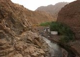 Wadi Wurayah Resmi Raih Status Situs Warisan Alam UNESCO Pertama Uni Emirat Arab