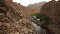 Wadi Wurayah Resmi Raih Status Situs Warisan Alam UNESCO Pertama Uni Emirat Arab