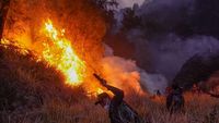 Kebakaran Lahan Bromo Capai 899 Hektare, Ancaman Serius Ekosistem dan Pariwisata TNBTS