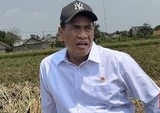 Mentan Amran Copot Manajer Pupuk di Banggai: Sinyal Tegas untuk Distribusi Subsidi