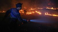 BNPB Ungkap Tantangan Berat Pemadaman Karhutla di Kalimantan Barat: Asap Pekat dan Keterbatasan Air