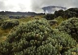 Kemunculan ‘Blue Fire’ Batasi Kunjungan Wisatawan di Gunung Papandayan Garut