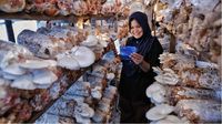 Indeks Bisnis UMKM BRI Q2 2026: Optimisme Terjaga di Tengah Perlambatan Laju Pertumbuhan