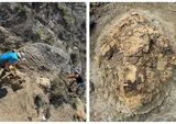 Jejak Kaki T-rex Dewasa Pertama Ditemukan di North Dakota, Ungkap Rahasia Dinosaurus Purba
