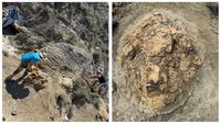 Jejak Kaki T-rex Dewasa Pertama Ditemukan di North Dakota, Ungkap Rahasia Dinosaurus Purba