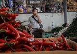 Harga Cabai di Jakarta Melonjak Tajam Tembus Rp100 Ribu/Kg: Pemicu dan Dampak