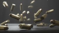 Gelombang Penembakan Massal Guncang Afrika Selatan, 27 Tewas Diduga Ulah Gangster