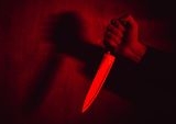 Tragedi Berdarah di Ogan Komering Ilir: Istri Tusuk Suami ASN Hingga Tewas Dipicu Biaya Pengobatan Anak