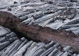 Ancaman Megathrust: Panduan Kritis Kesiapsiagaan Gempa dan Tsunami Indonesia