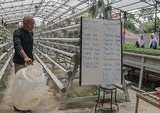 Majelis Sayur Jagakarsa: Mendorong Ketahanan Pangan dan Urban Farming Jakarta Selatan