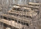 Air Waduk Gajah Mungkur Surut, Makam Kuno Peninggalan Sejarah Kembali Terkuak