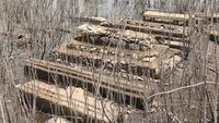 Air Waduk Gajah Mungkur Surut, Makam Kuno Peninggalan Sejarah Kembali Terkuak