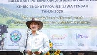 Jawa Tengah Pacu Produksi Susu Nasional Lewat Inovasi Inseminasi Buatan
