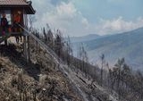 Kebakaran Hutan Jatim Berlanjut: Bromo-Semeru Tutup Total, Ekosistem Terancam