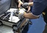 Penyelundupan Kera Ekor Panjang di Bandara Juanda Terbongkar, Ancaman Pidana Menanti