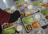 BGN Ungkap Kualitas Makanan Buruk Picu Keracunan Massal Program Makan Bergizi Gratis
