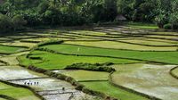 Tren Wisata Tidur di Asia Kian Diminati, Destinasi Indonesia Jadi Incaran